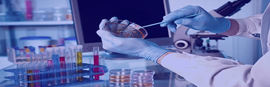 Global Research & Publishing Database